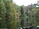 vijver Gravenallee